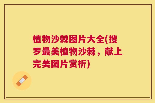 植物沙棘图片大全(搜罗最美植物沙棘，献上完美图片赏析)