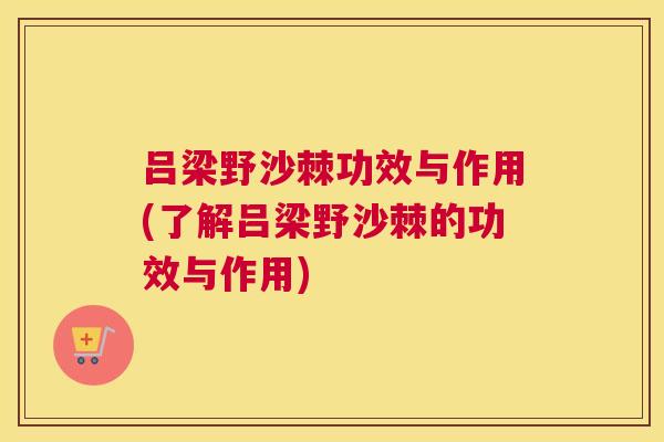 吕梁野沙棘功效与作用(了解吕梁野沙棘的功效与作用)
