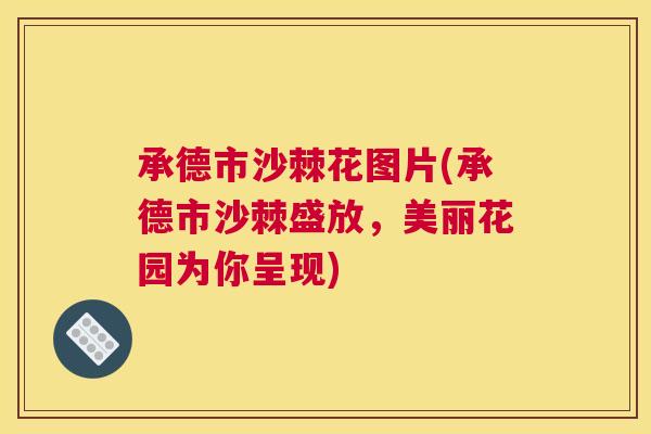 承德市沙棘花图片(承德市沙棘盛放，美丽花园为你呈现)