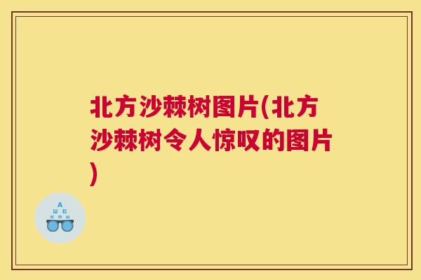 北方沙棘树图片(北方沙棘树令人惊叹的图片)