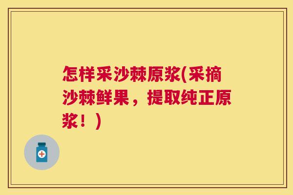 怎样采沙棘原浆(采摘沙棘鲜果，提取纯正原浆！)