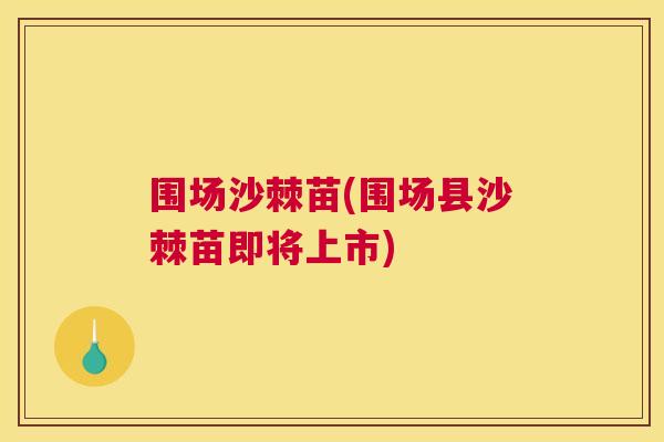 围场沙棘苗(围场县沙棘苗即将上市) 围场沙棘苗(围场县沙棘苗即将上市)