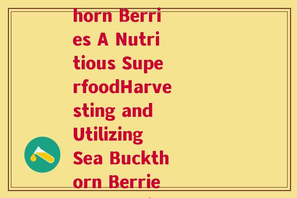 描述沙棘果句子(How to Harvest and Use Sea Buckthorn Berries A Nutritious SuperfoodHarvesting and Utilizing Sea Buckthorn Berries for their Nutritional Benefits)