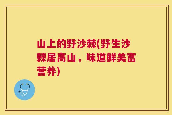 山上的野沙棘(野生沙棘居高山，味道鲜美富营养)