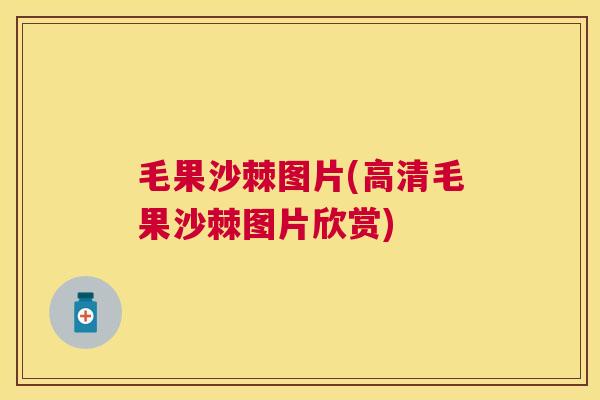 毛果沙棘图片(高清毛果沙棘图片欣赏)