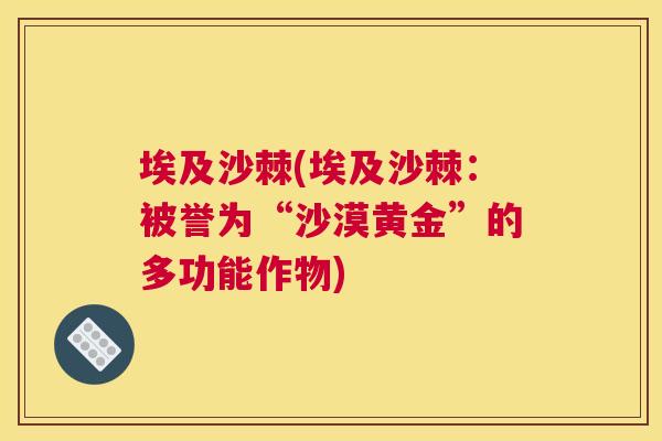 埃及沙棘(埃及沙棘：被誉为“沙漠黄金”的多功能作物)