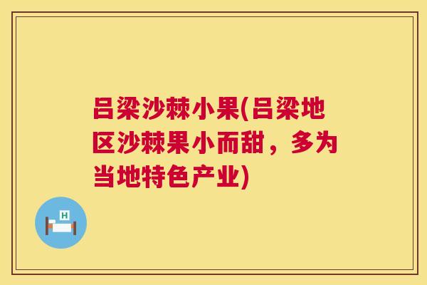 吕梁沙棘小果(吕梁地区沙棘果小而甜,多为当地特色产业)