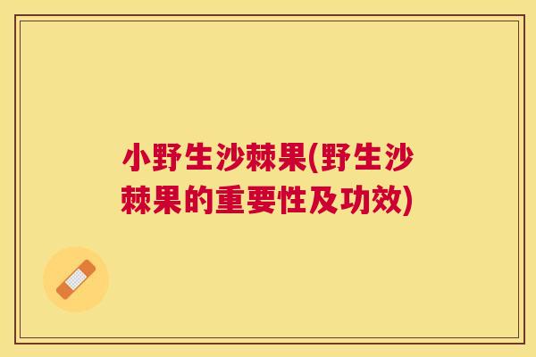 小野生沙棘果(野生沙棘果的重要性及功效)