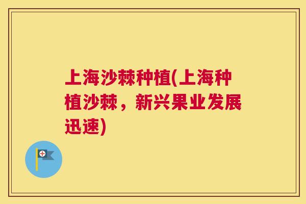 上海沙棘种植(上海种植沙棘，新兴果业发展迅速)
