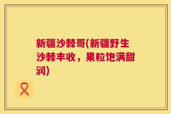 新疆沙棘哥(新疆野生沙棘丰收，果粒饱满甜润)