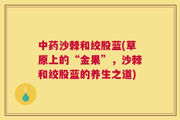 沙棘和绞股蓝(草原上的“金果”,沙棘和绞股蓝的养生之道) 沙棘和绞股蓝(草原上的“金果”,沙棘和绞股蓝的养生之道)