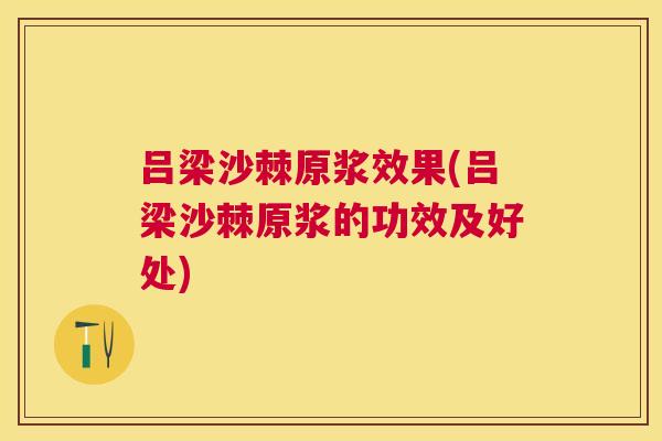 吕梁沙棘原浆效果(吕梁沙棘原浆的功效及好处)