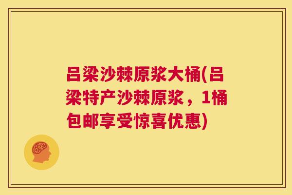 吕梁沙棘原浆大桶(吕梁特产沙棘原浆，1桶包邮享受惊喜优惠)