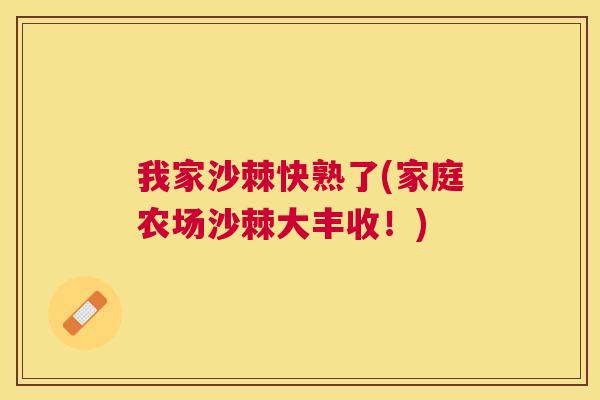 我家沙棘快熟了(家庭农场沙棘大丰收！)
