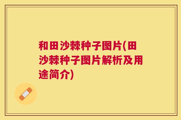 和田沙棘种子图片(田沙棘种子图片解析及用途简介)