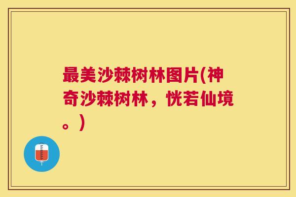 美沙棘树林图片(神奇沙棘树林，恍若仙境。)