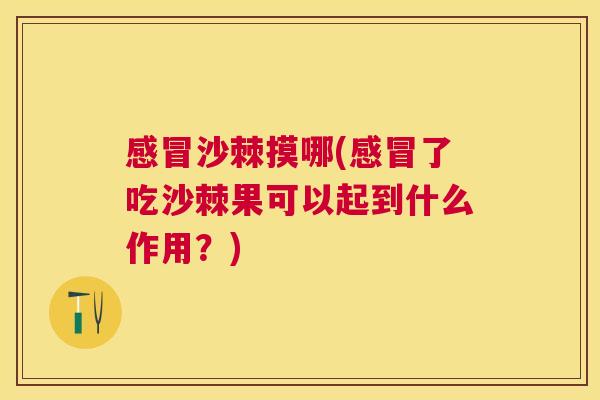 沙棘摸哪(了吃沙棘果可以起到什么作用?) 沙棘摸哪(了吃沙棘果可以起到什么作用?)