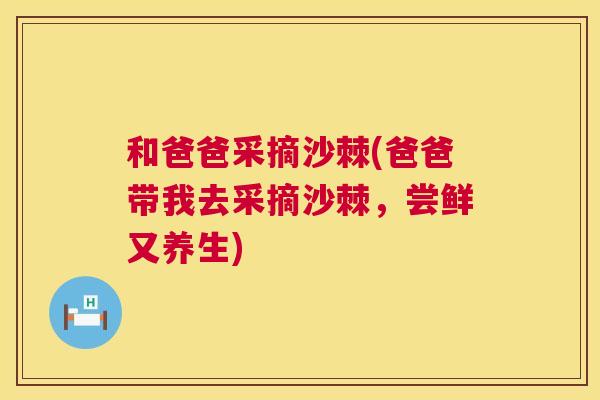和爸爸采摘沙棘(爸爸带我去采摘沙棘，尝鲜又养生)