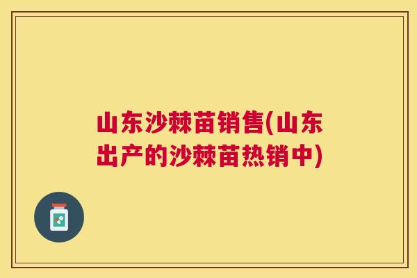 山东沙棘苗销售(山东出产的沙棘苗热销中)