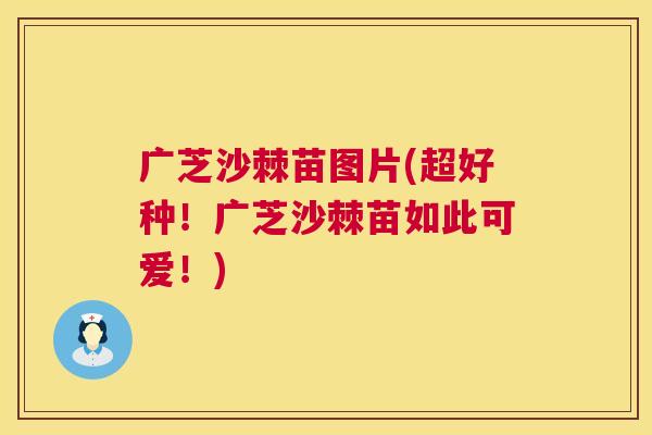 广芝沙棘苗图片(超好种！广芝沙棘苗如此可爱！)