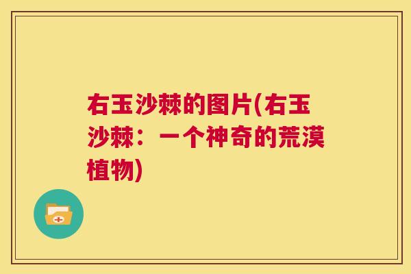 右玉沙棘的图片(右玉沙棘:一个神奇的荒漠植物)