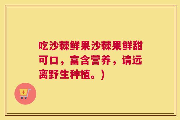 吃沙棘鲜果沙棘果鲜甜可口，富含营养，请远离野生种植。)