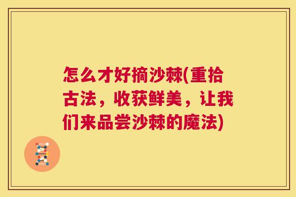 怎么才好摘沙棘(重拾古法，收获鲜美，让我们来品尝沙棘的魔法)