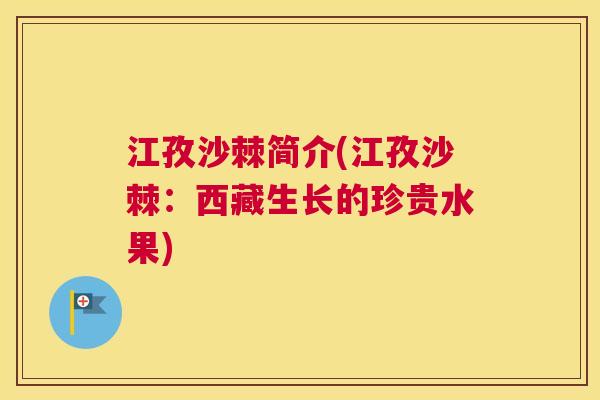 江孜沙棘简介(江孜沙棘:西藏生长的珍贵水果)