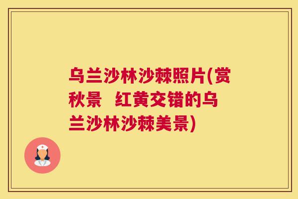 乌兰沙林沙棘照片(赏秋景  红黄交错的乌兰沙林沙棘美景)