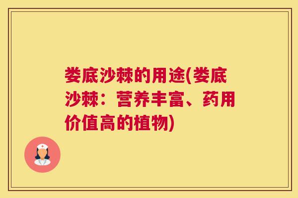 娄底沙棘的用途(娄底沙棘：营养丰富、药用价值高的植物)