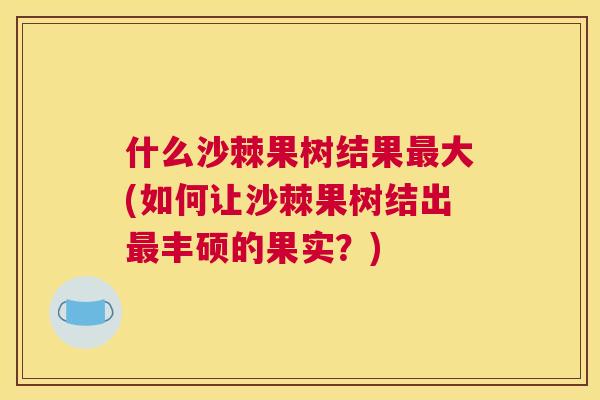 什么沙棘果树结果大(如何让沙棘果树结出丰硕的果实？)