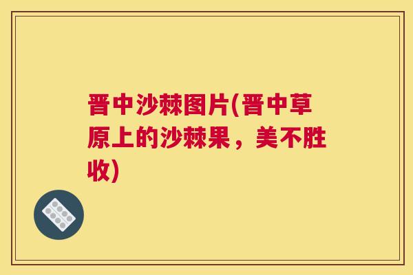 晋中沙棘图片(晋中草原上的沙棘果,美不胜收) 晋中沙棘图片(晋中草原上的沙棘果,美不胜收)