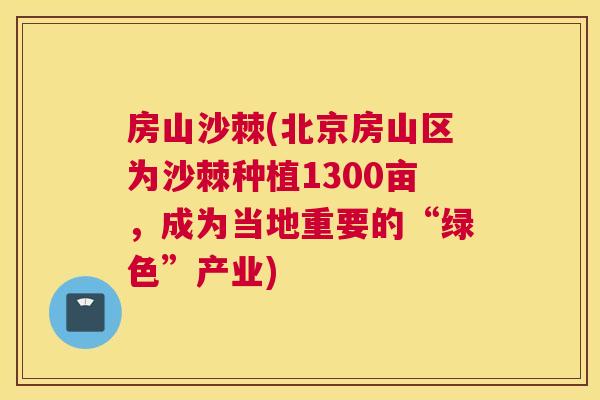 房山沙棘(北京房山区为沙棘种植1300亩，成为当地重要的“绿色”产业)