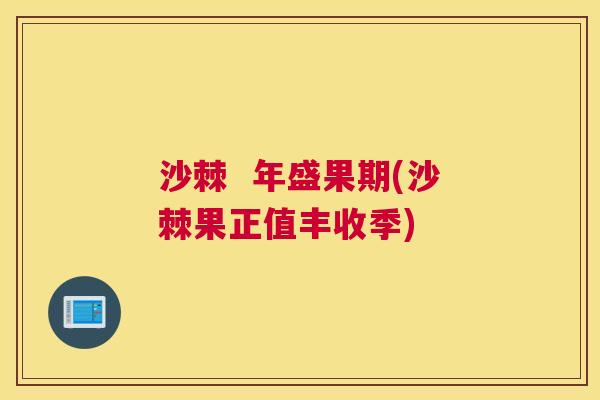 沙棘 年盛果期(沙棘果正值丰收季)