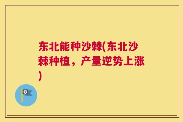 东北能种沙棘(东北沙棘种植,产量逆势上涨)