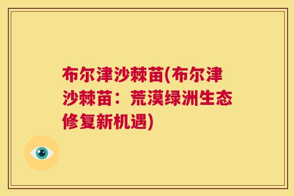 布尔津沙棘苗(布尔津沙棘苗：荒漠绿洲生态修复新机遇)