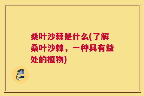 桑叶沙棘是什么(了解桑叶沙棘，一种具有益处的植物)