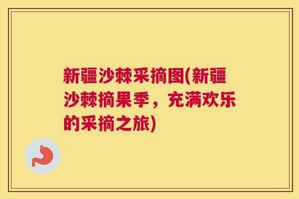 新疆沙棘采摘图(新疆沙棘摘果季，充满欢乐的采摘之旅)