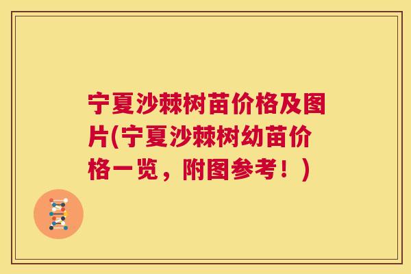 宁夏沙棘树苗价格及图片(宁夏沙棘树幼苗价格一览，附图参考！)