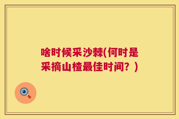 啥时候采沙棘(何时是采摘山楂最佳时间?)