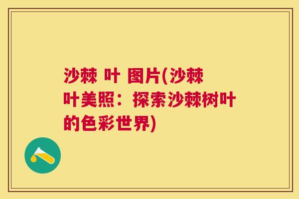 沙棘 叶 图片(沙棘叶美照:探索沙棘树叶的色彩世界)