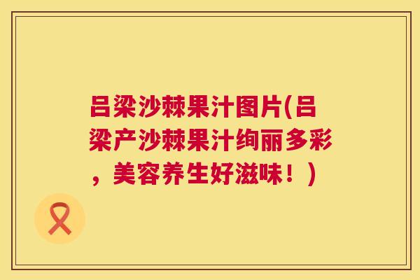 吕梁沙棘果汁图片(吕梁产沙棘果汁绚丽多彩,美容养生好滋味!)