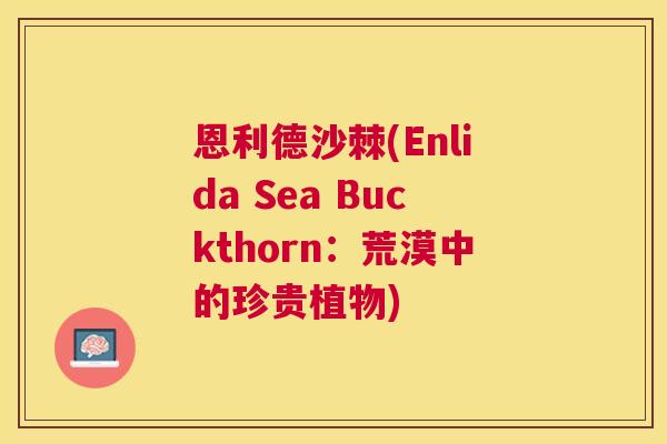 恩利德沙棘(Enlida Sea Buckthorn：荒漠中的珍贵植物)