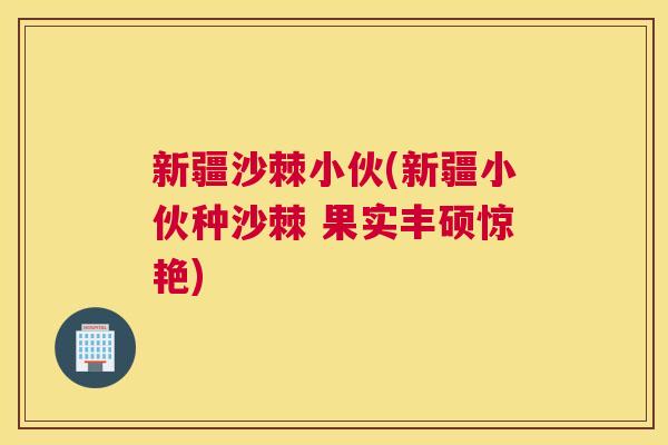 新疆沙棘小伙(新疆小伙种沙棘 果实丰硕惊艳) 新疆沙棘小伙(新疆小伙种沙棘 果实丰硕惊艳)