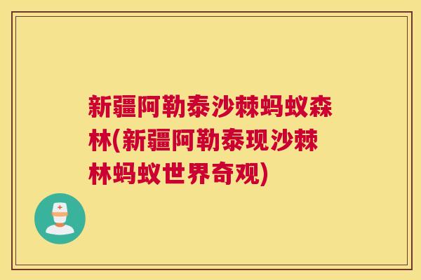 新疆阿勒泰沙棘蚂蚁森林(新疆阿勒泰现沙棘林蚂蚁世界奇观)