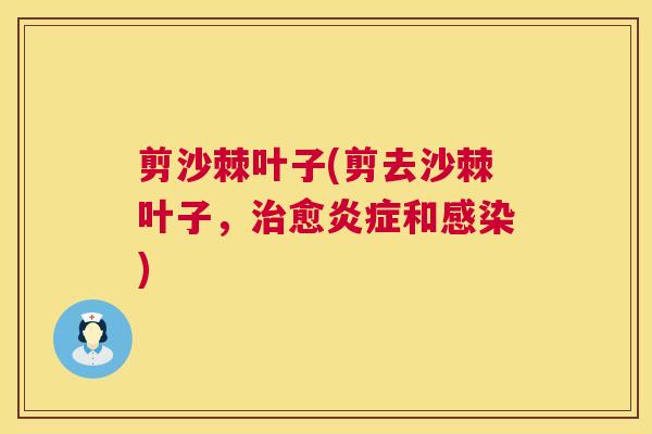 剪沙棘叶子(剪去沙棘叶子，治愈炎症和感染)