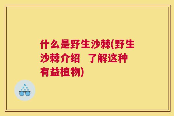 什么是野生沙棘(野生沙棘介绍 了解这种有益植物)