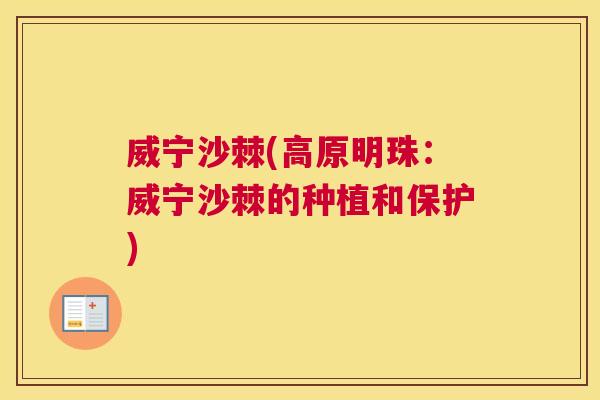 威宁沙棘(高原明珠：威宁沙棘的种植和保护)