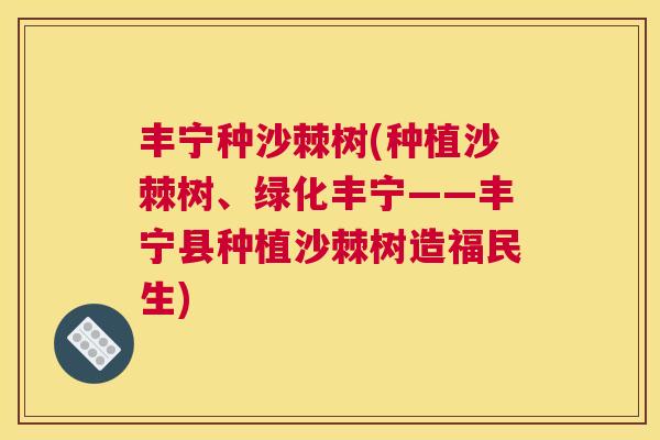 丰宁种沙棘树(种植沙棘树、绿化丰宁——丰宁县种植沙棘树造福民生)