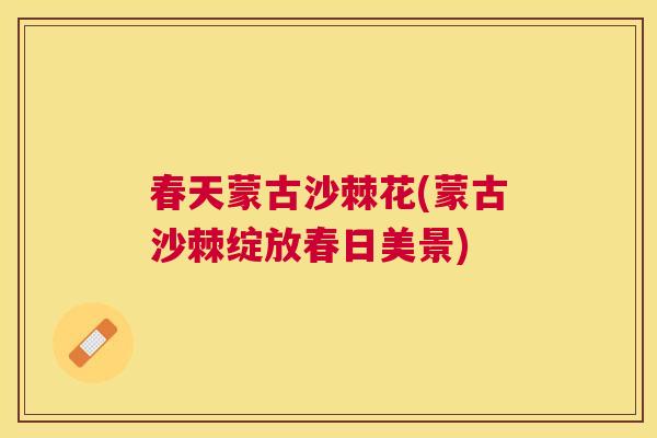 春天蒙古沙棘花(蒙古沙棘绽放春日美景) 春天蒙古沙棘花(蒙古沙棘绽放春日美景)